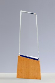 Trofee din Cristal CR 13